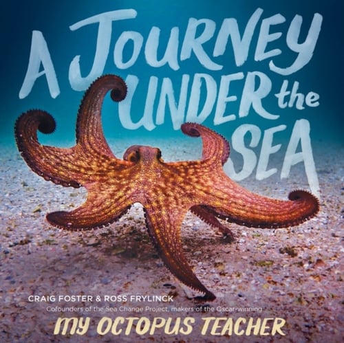 Journey Under the Sea - picture