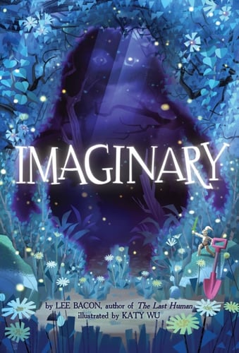 Imaginary - picture