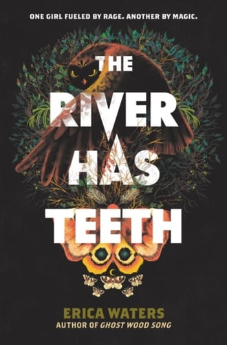 River Has Teeth - picture