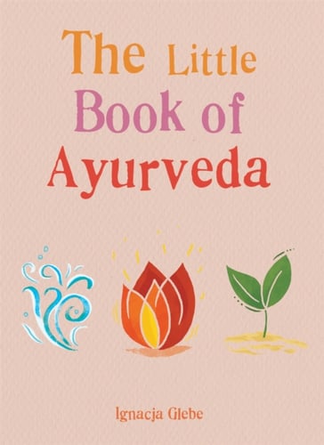 Little Book of Ayurveda - picture