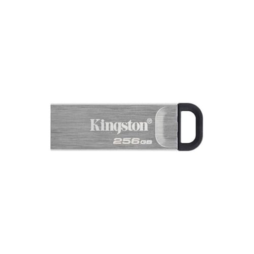 USB stick Kingston DTKN/256GB USB 3.2 Sølv 256 GB_0