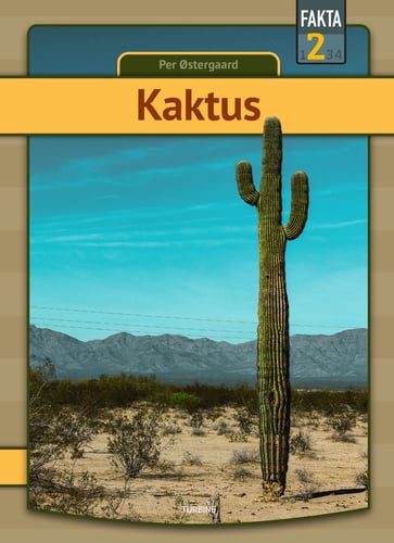 Kaktus - picture