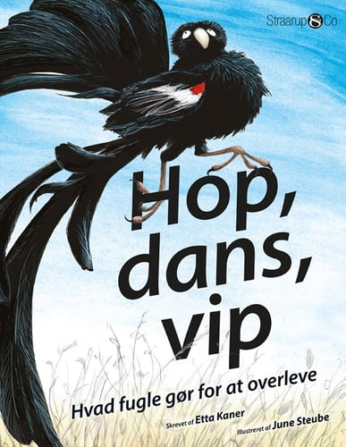 Hop, dans, vip_0