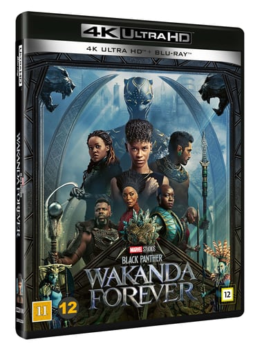 Black Panther: Wakanda Forever - picture