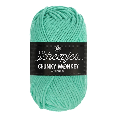 Scheepjes Chunky Monkey 1422 Aqua_0