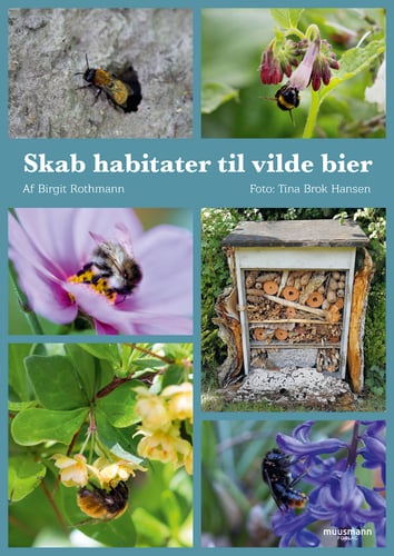 Skab habitater til vilde bier - picture