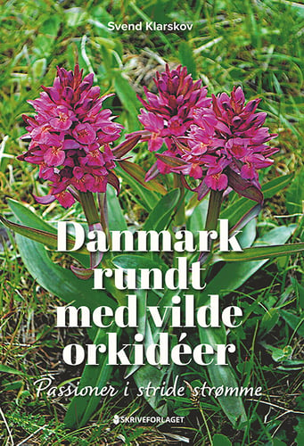 Danmark rundt med vilde orkidéer_0