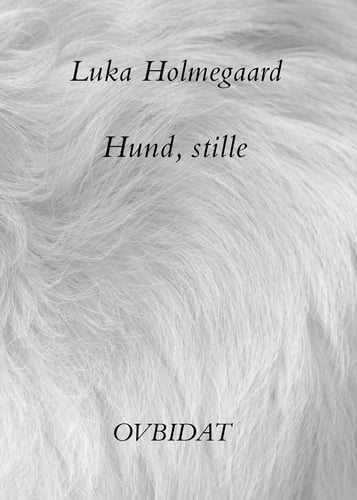 Hund, stille