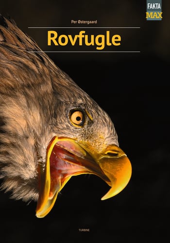 Rovfugle - picture