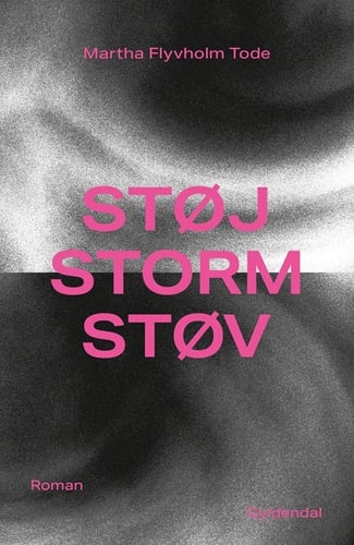 Støj, storm, støv - picture