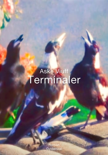Terminaler - picture