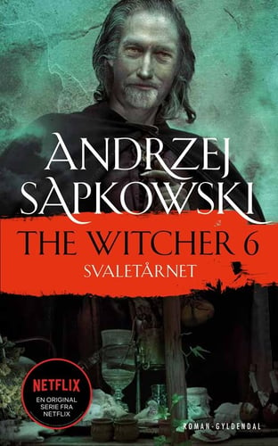 THE WITCHER 6_0