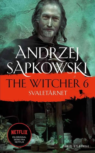 THE WITCHER 6