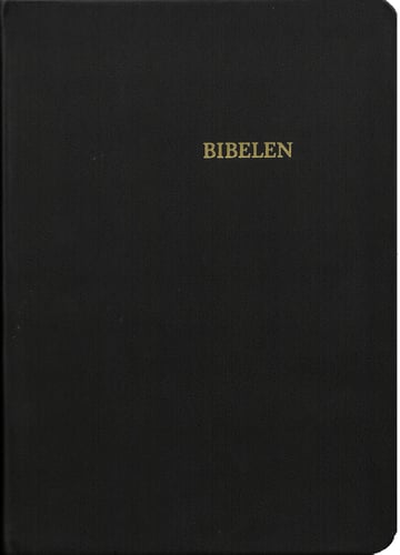Bibelen i sort skind - picture