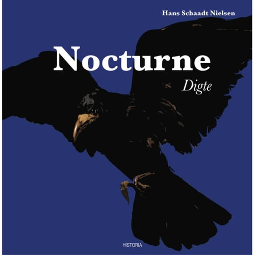 Nocturne - picture