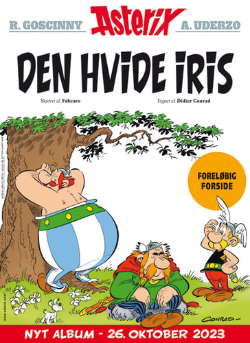 Asterix 40 - picture