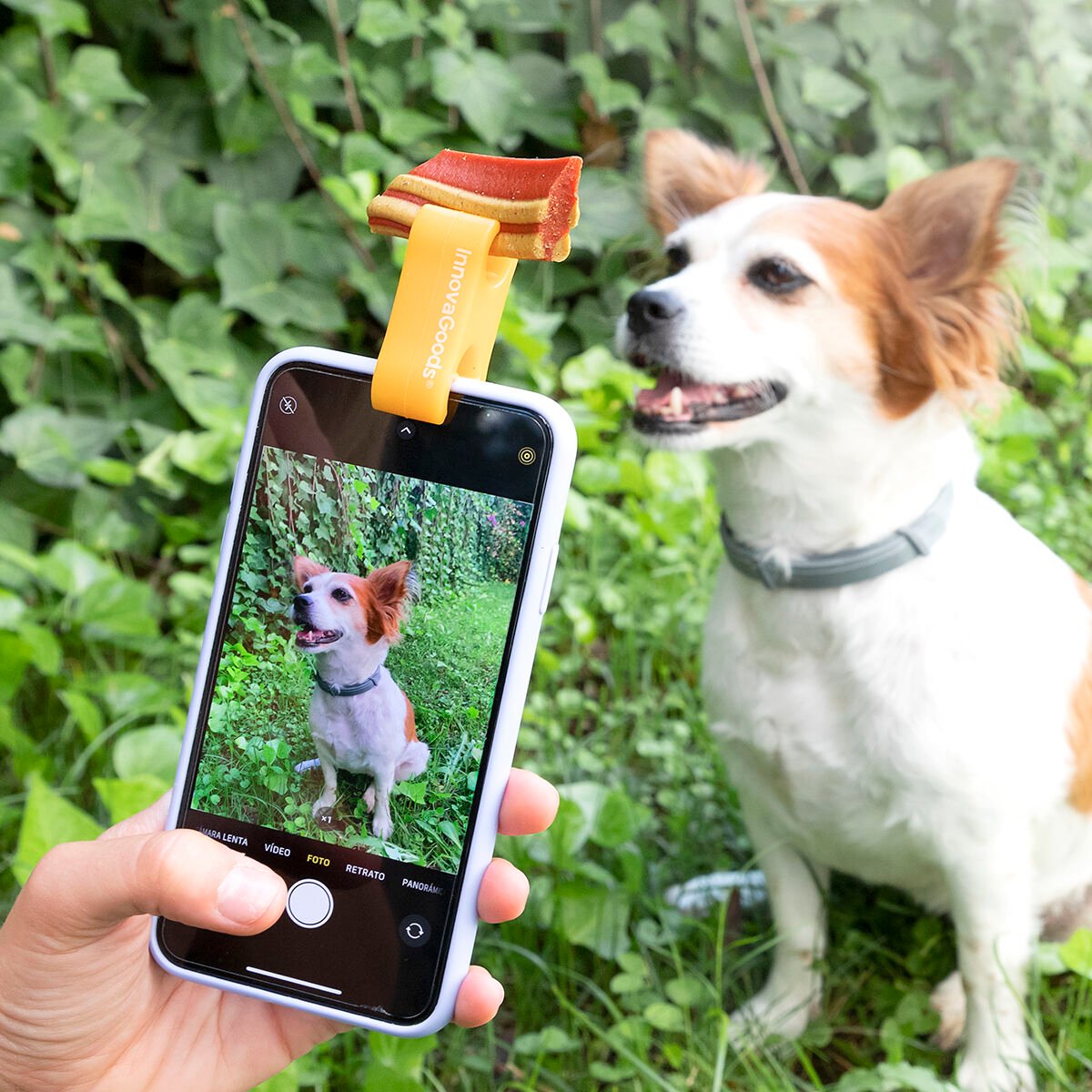 Selfie Clip for Pets Pefie InnovaGoods_4