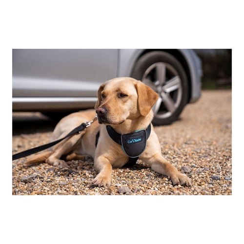 "Hundesele Company of Animals CarSafe Sort XS-størrelse"_7