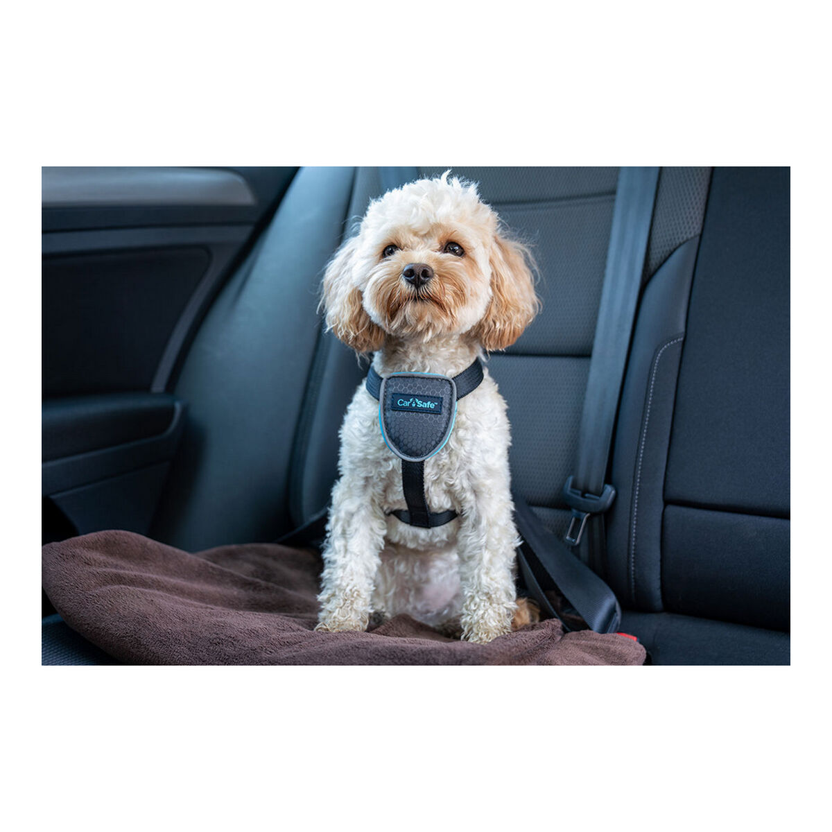 "Dog Harness Company of Animals CarSafe Black XS size"_13