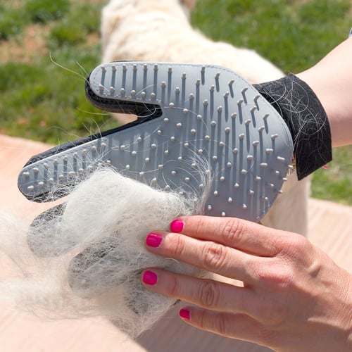 InnovaGoods Pet Brush & Massage Glove _18