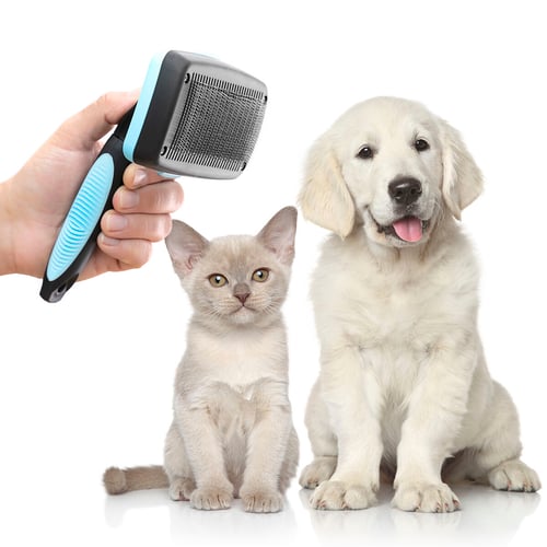 Rensebørste til kæledyr med optrækkelige børster Groombot InnovaGoods_16