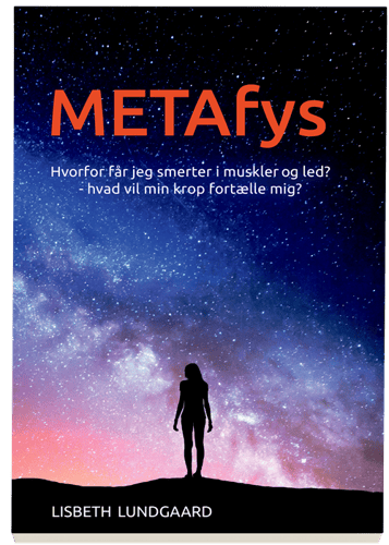 METAfys - picture