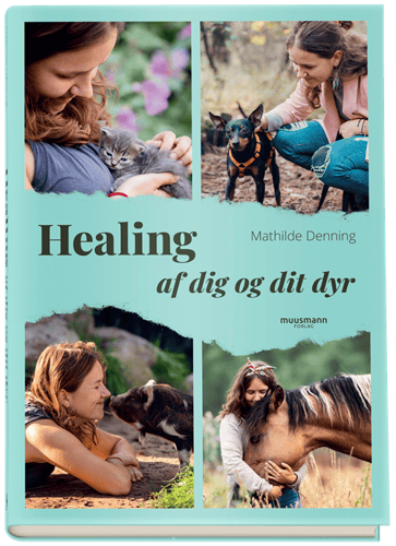 Healing - af dig og dit dyr_0