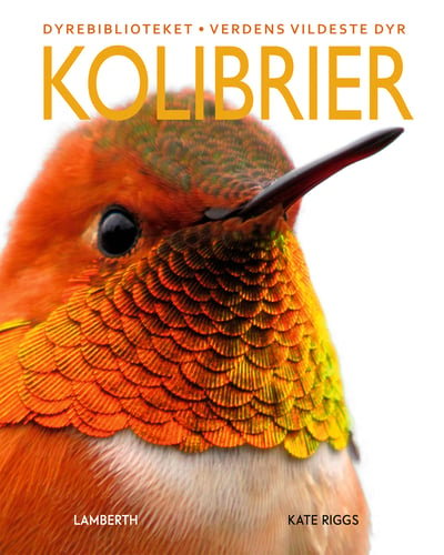 Kolibrier - picture