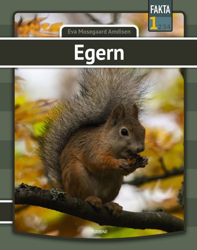 Egern_0
