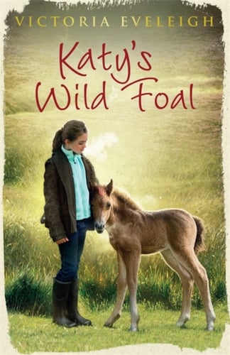 Katy's Exmoor Ponies: Katy's Wild Foal_0