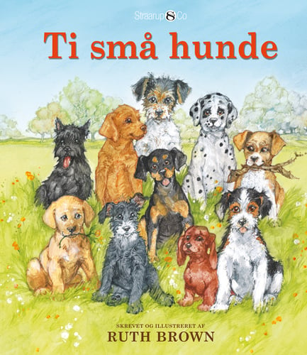 Ti små hunde - picture