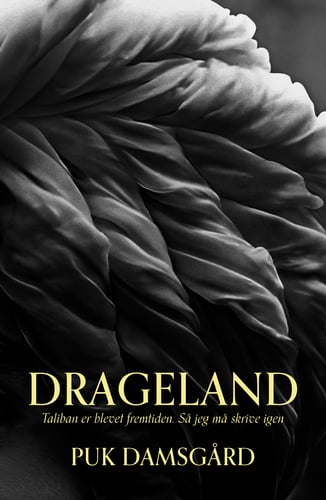 Drageland - picture
