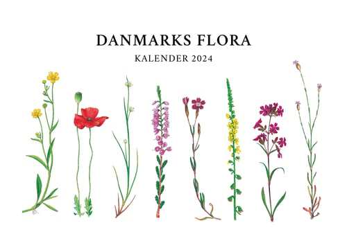 Danmarks flora - Kalender 2024 - picture