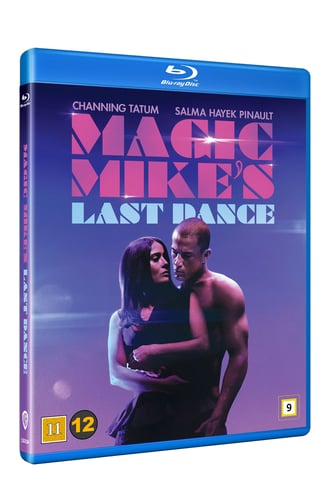 Magic Mike's Last Dance - picture