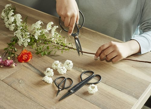 Scissor Set For Garden (SC37) - picture