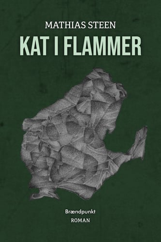 Kat i flammer - picture