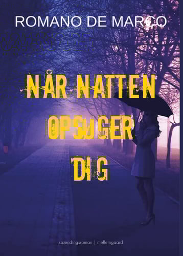 Når natten opsøger dig - picture