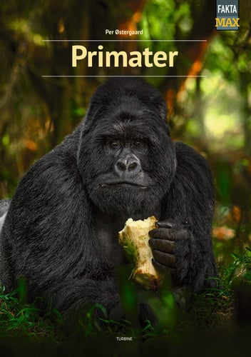 Primater_0