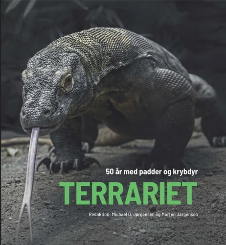 Terrariet - picture