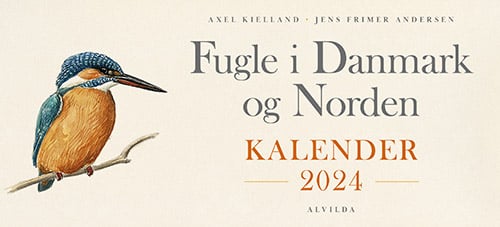 Fugle i Danmark og Norden - Kalender 2024 - picture