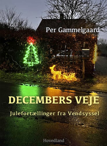 Decembers veje - picture