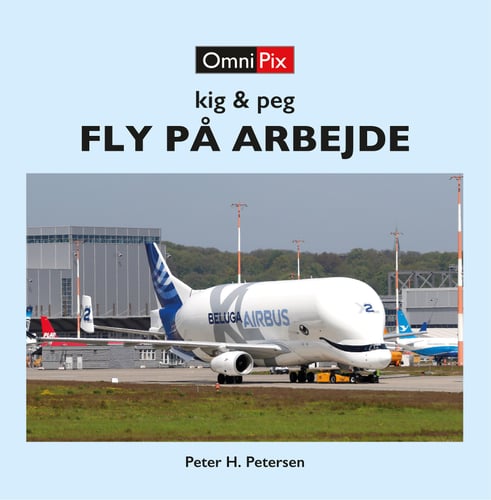 FLY PÅ ARBEJDE - picture