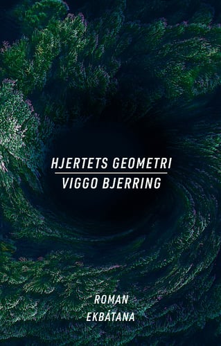 Hjertets geometri - picture