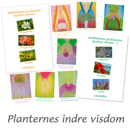 Planternes indre visdom - picture