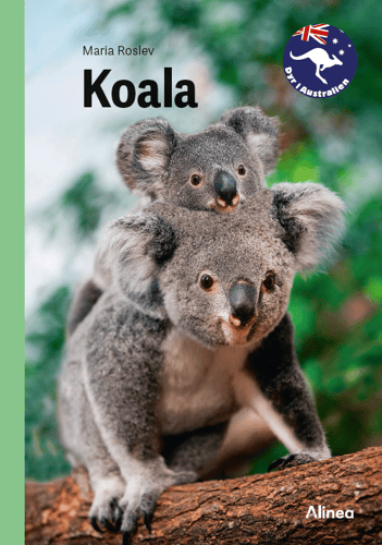 Koala, Grøn Fagklub - picture