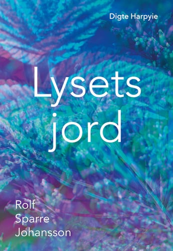 Lysets jord - picture