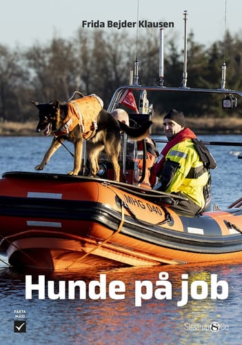 Hunde på job - picture