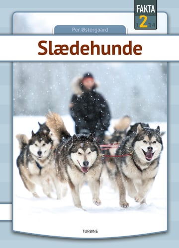 Slædehunde_0
