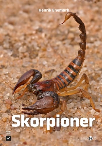 Skorpioner - picture