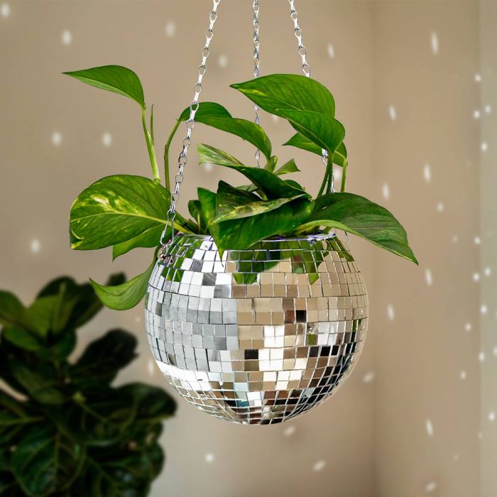 Mikamax - Funky Disco Planter_0